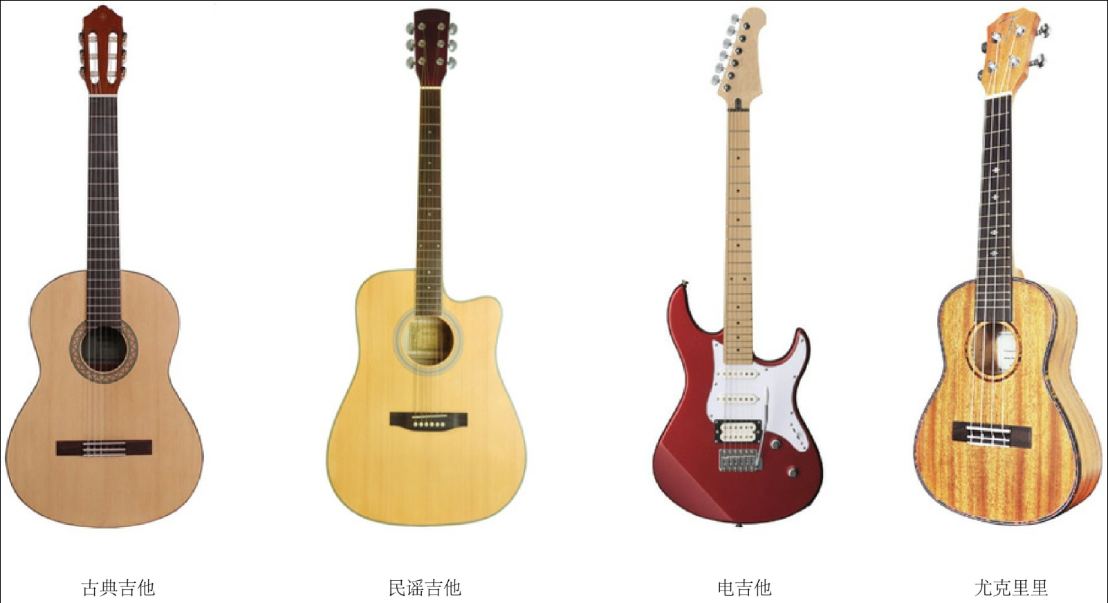 [新手报到]演奏音乐家的伙伴：新手小白的吉他入门指南 第一弹！入门吉他