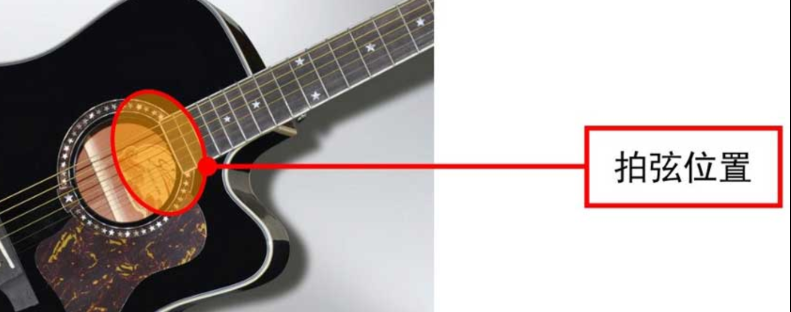 【新手教程】拍弦