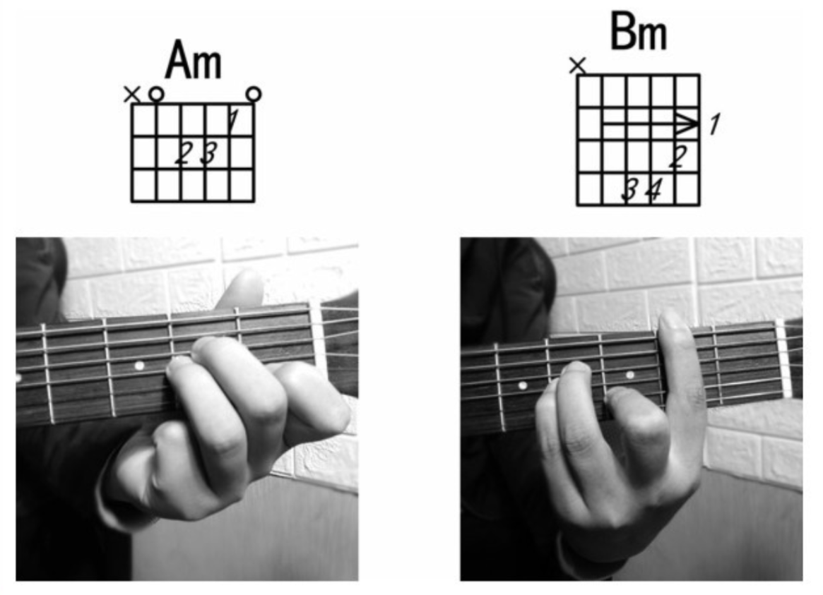 【新手必看】和弦的推算