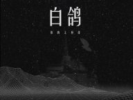 你的上好佳《白鸽》C调 吉他谱