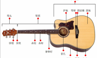 [新手报到]演奏音乐家的伙伴：新手小白的吉他入门指南 第二弹！吉他有哪些组成