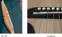 [新手报到]演奏音乐家的伙伴：新手小白的吉他入门指南 第三弹！怎么选购吉他？