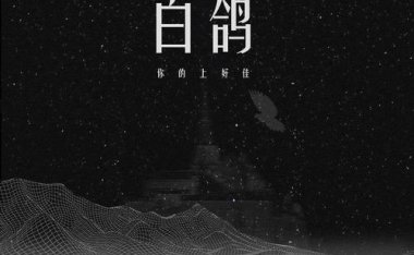 你的上好佳《白鸽》C调 吉他谱