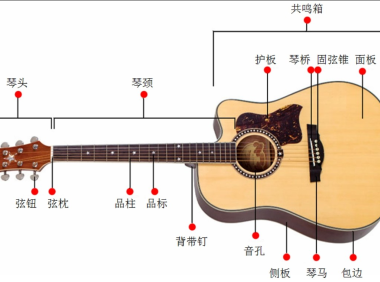 [新手报到]演奏音乐家的伙伴：新手小白的吉他入门指南 第二弹！吉他有哪些组成
