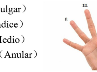 [新手报到]新手小白的吉他入门指南 第八弹！右手弹奏要领
