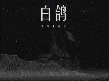 你的上好佳《白鸽》C调 吉他谱